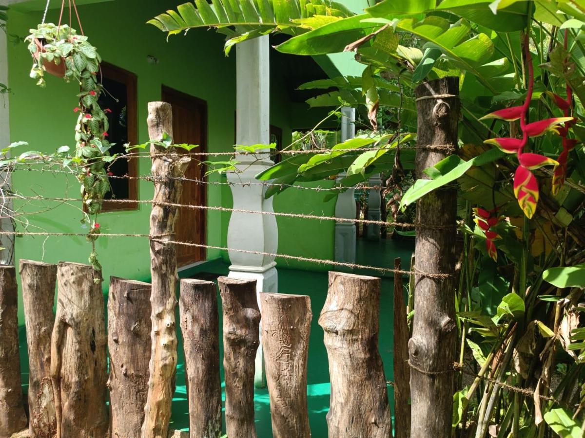 Forest Villa Nature Resort Анурадхапура Екстер'єр фото