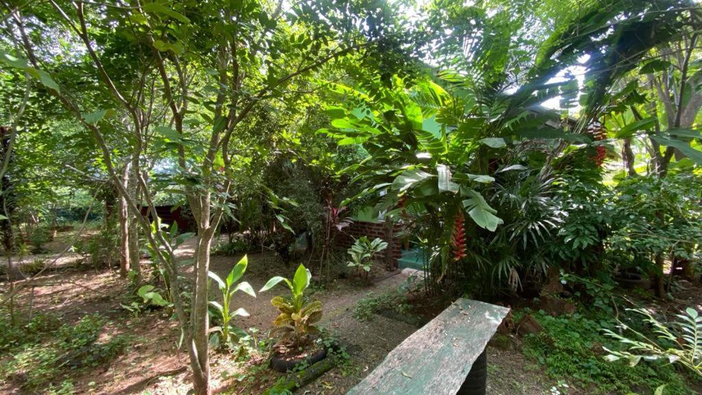 Forest Villa Nature Resort Анурадхапура Екстер'єр фото