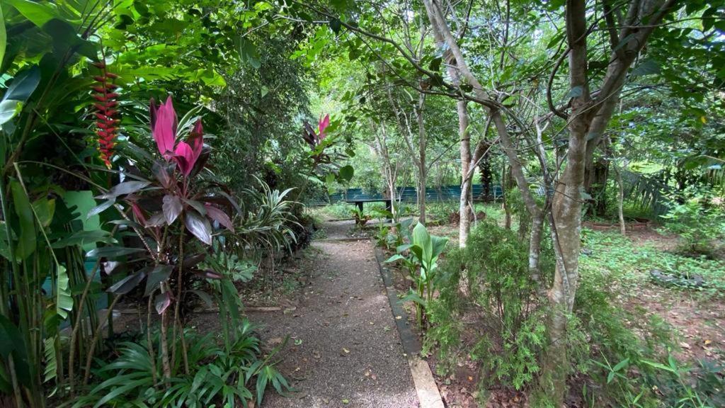Forest Villa Nature Resort Анурадхапура Екстер'єр фото