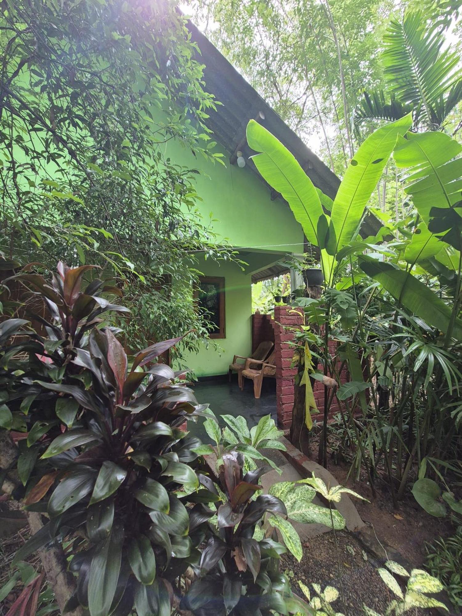 Forest Villa Nature Resort Анурадхапура Екстер'єр фото